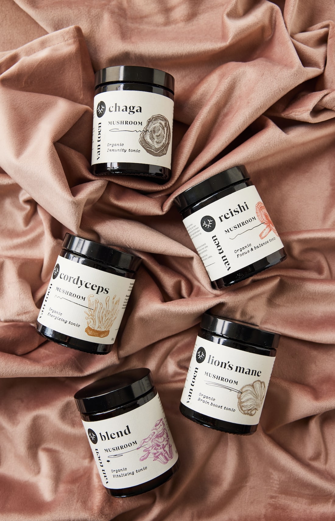 Reishi poeder BIO