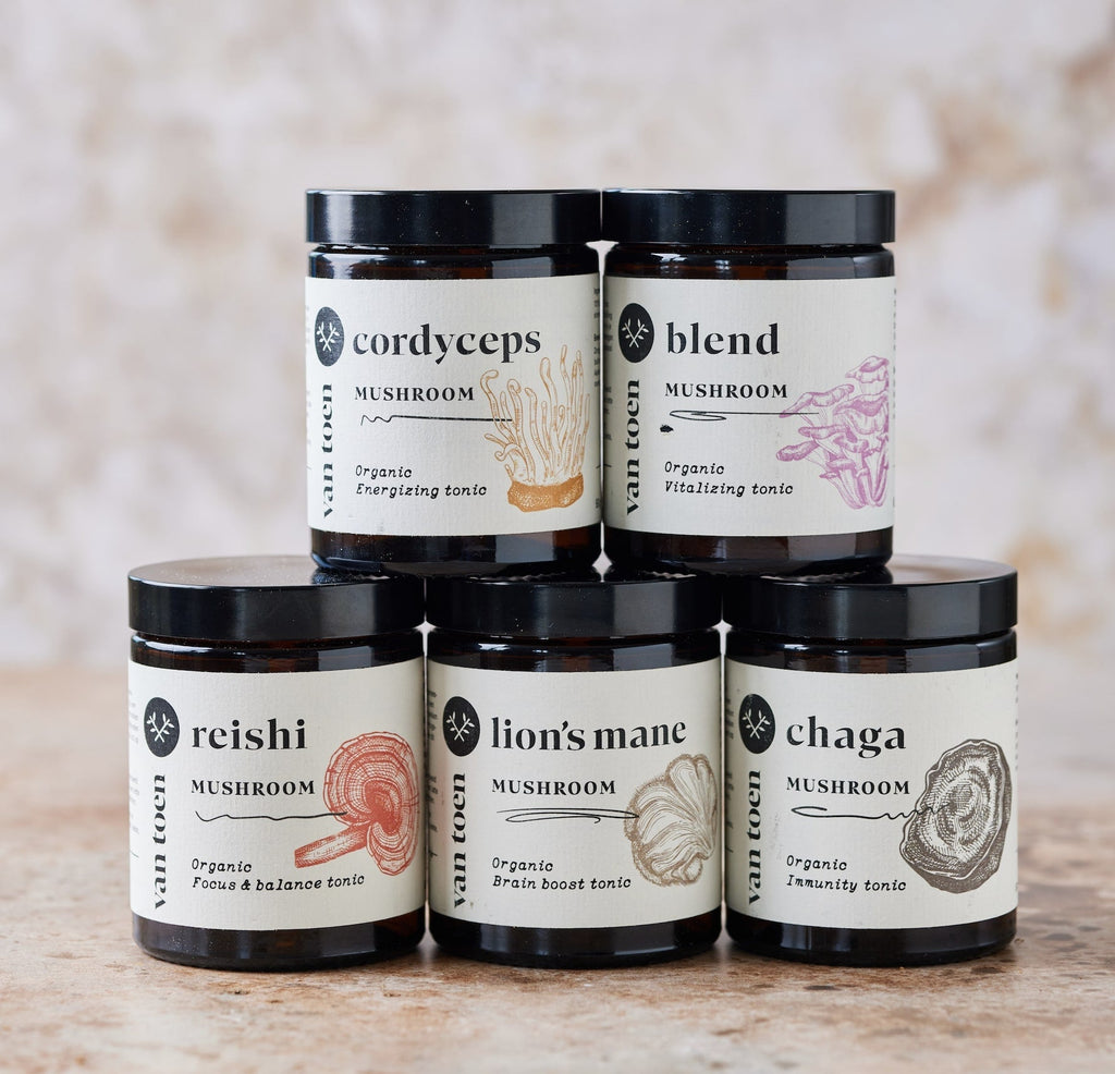 Reishi poeder BIO
