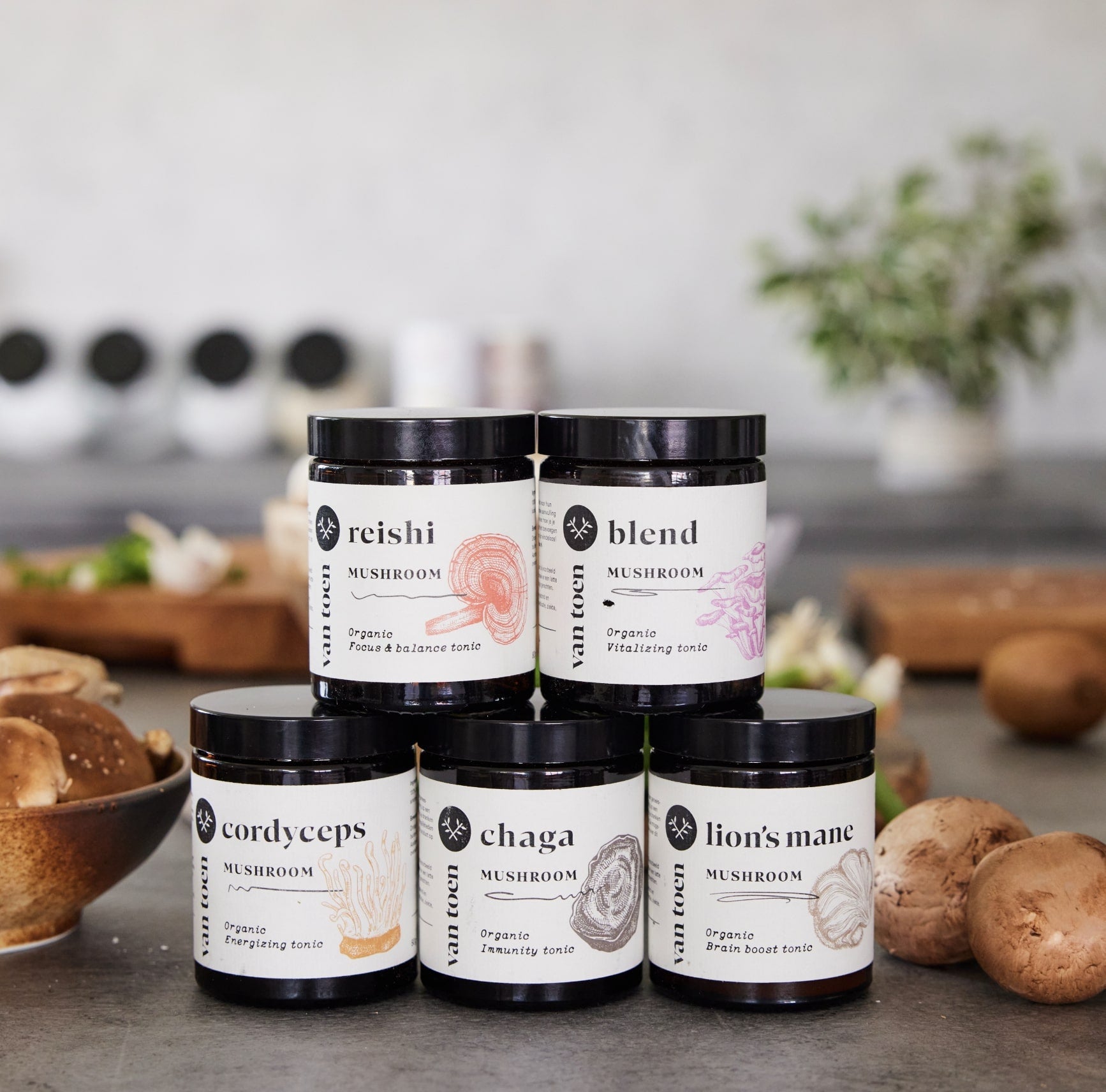 Mushroom blend BIO